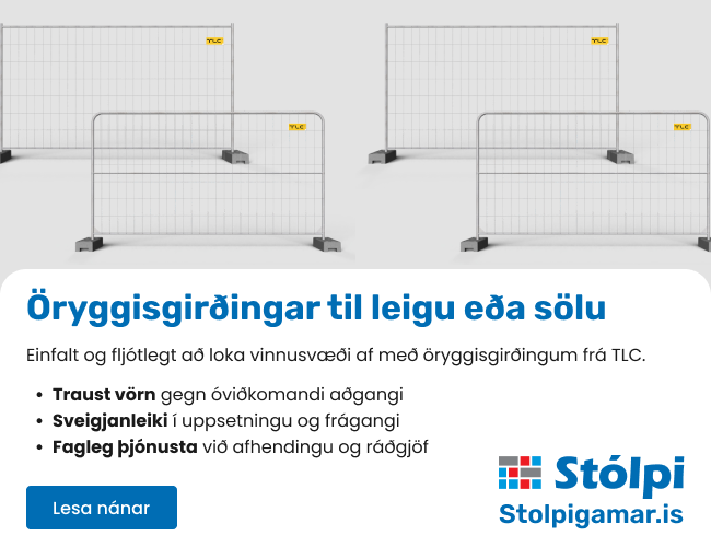 Google search engine